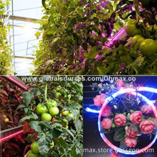 Dimmable and Flexible LED Strip Grow Light for Small Bonsai Plants, 5m Size, IP67